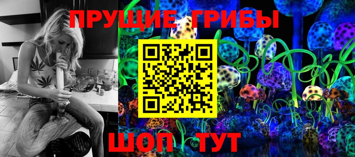 Галлюциногенные грибы прущие грибы  Вход с VPN  Фурманов 